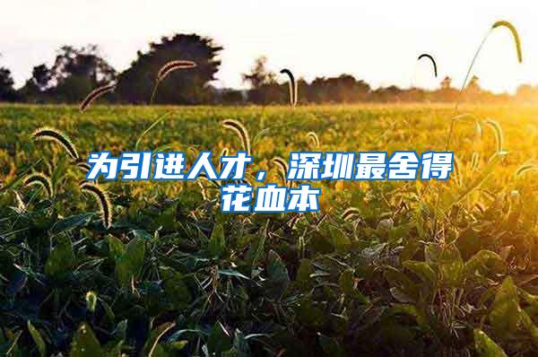 为引进人才，深圳最舍得花血本