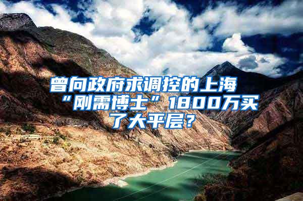 曾向政府求调控的上海“刚需博士”1800万买了大平层？