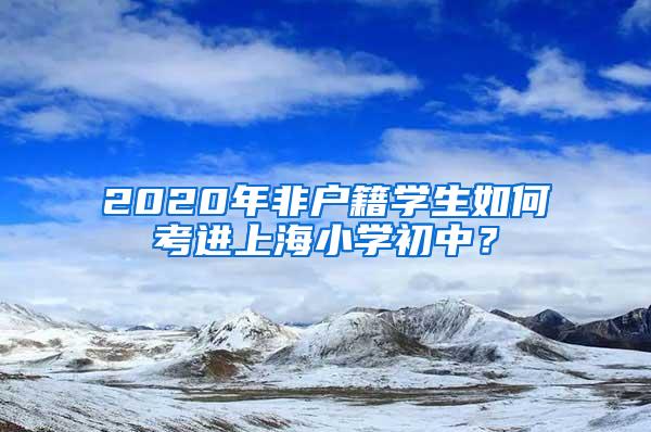 2020年非户籍学生如何考进上海小学初中？