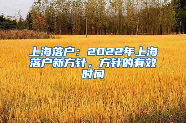 上海落户：2022年上海落户新方针，方针的有效时间