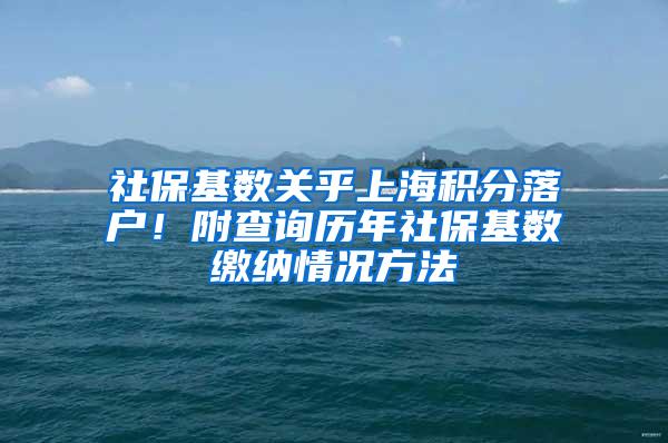 社保基数关乎上海积分落户！附查询历年社保基数缴纳情况方法