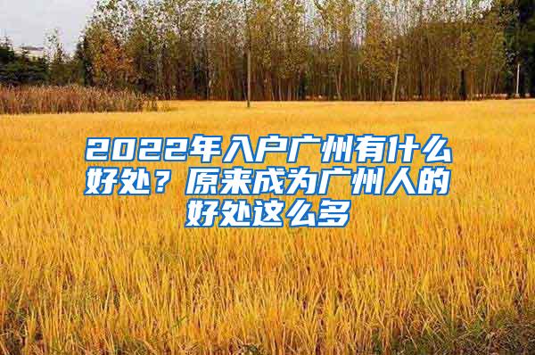 2022年入户广州有什么好处？原来成为广州人的好处这么多