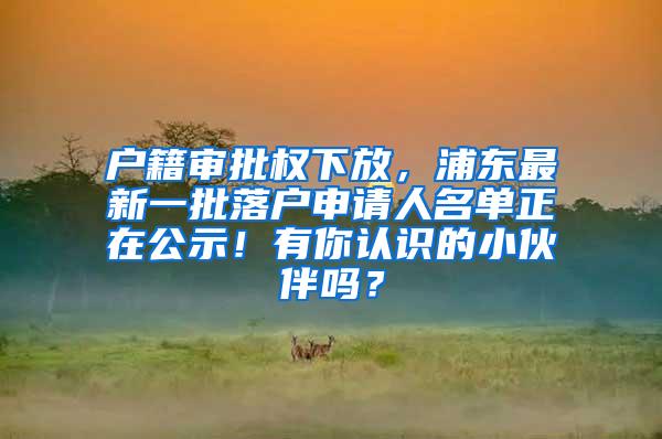 户籍审批权下放，浦东最新一批落户申请人名单正在公示！有你认识的小伙伴吗？