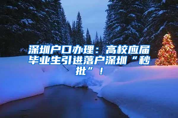 深圳户口办理：高校应届毕业生引进落户深圳“秒批”！