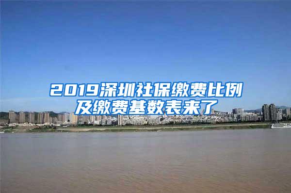 2019深圳社保缴费比例及缴费基数表来了