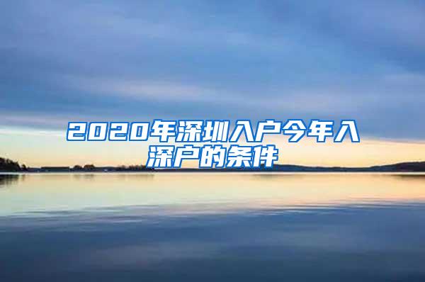 2020年深圳入户今年入深户的条件