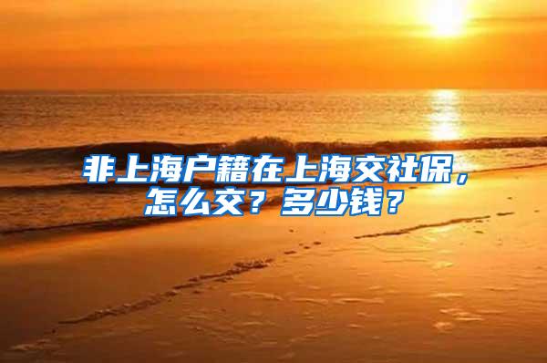 非上海户籍在上海交社保，怎么交？多少钱？