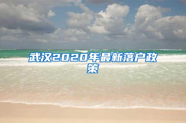 武汉2020年最新落户政策