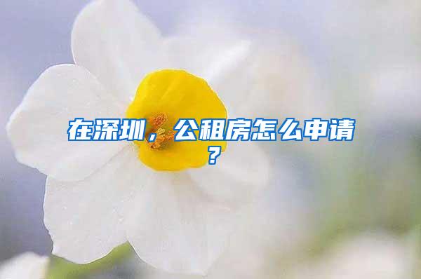 在深圳，公租房怎么申请？