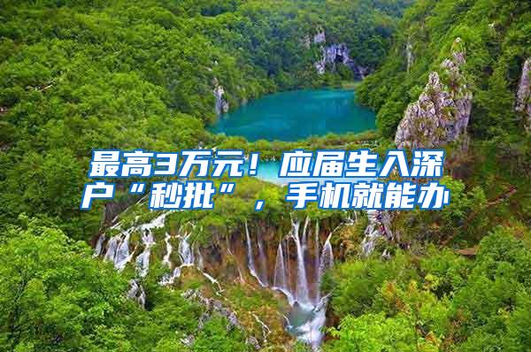 最高3万元！应届生入深户“秒批”，手机就能办