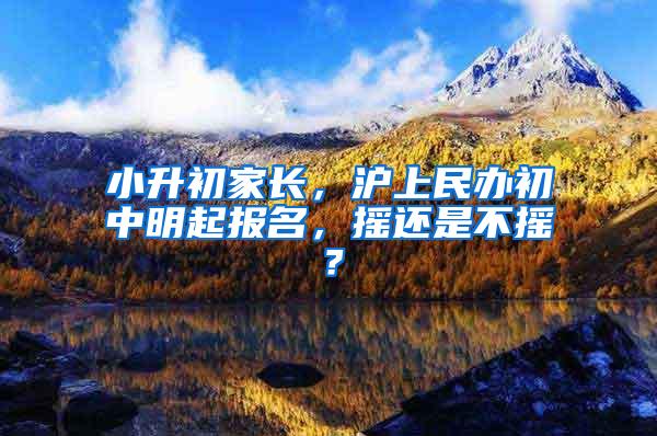 小升初家长，沪上民办初中明起报名，摇还是不摇？