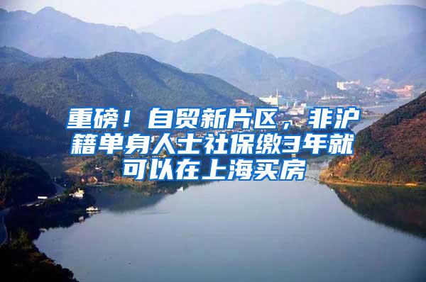 重磅！自贸新片区，非沪籍单身人士社保缴3年就可以在上海买房
