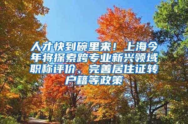 人才快到碗里来！上海今年将探索跨专业新兴领域职称评价、完善居住证转户籍等政策