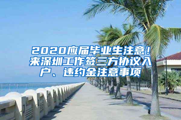 2020应届毕业生注意！来深圳工作签三方协议入户、违约金注意事项