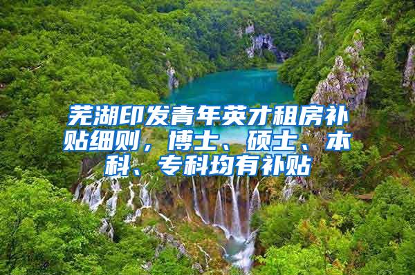 芜湖印发青年英才租房补贴细则，博士、硕士、本科、专科均有补贴