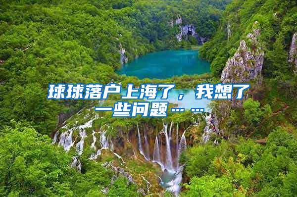 球球落户上海了，我想了一些问题……