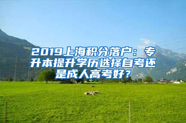 2019上海积分落户：专升本提升学历选择自考还是成人高考好？