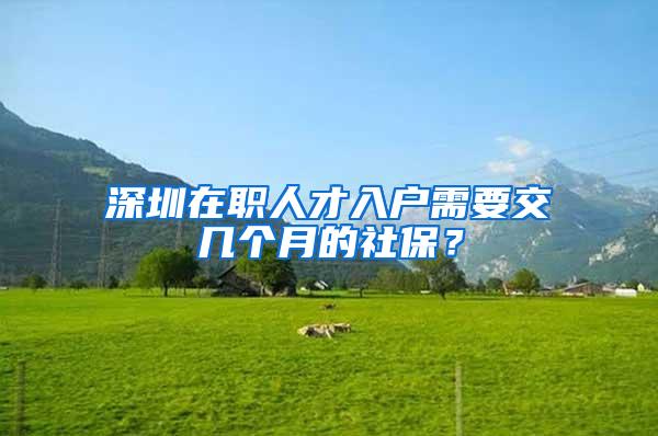 深圳在职人才入户需要交几个月的社保？