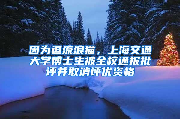 因为逗流浪猫，上海交通大学博士生被全校通报批评并取消评优资格