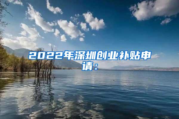 2022年深圳创业补贴申请：