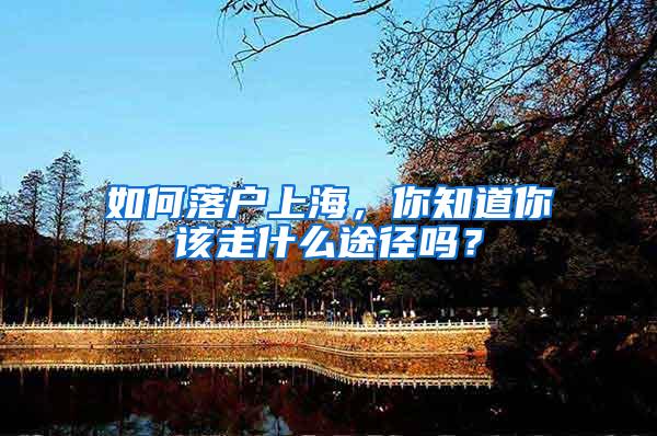如何落户上海，你知道你该走什么途径吗？