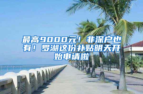 最高9000元！非深户也有！罗湖这份补贴明天开始申请啦