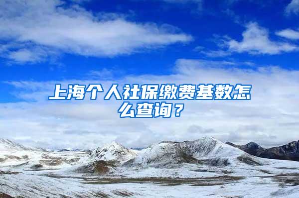 上海个人社保缴费基数怎么查询？