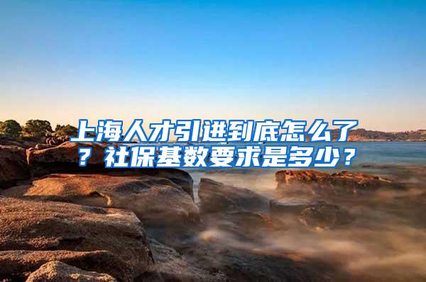 上海人才引进到底怎么了？社保基数要求是多少？