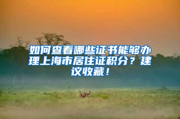 如何查看哪些证书能够办理上海市居住证积分？建议收藏！