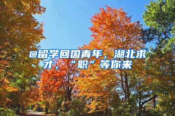 @留学回国青年，湖北求才，“职”等你来