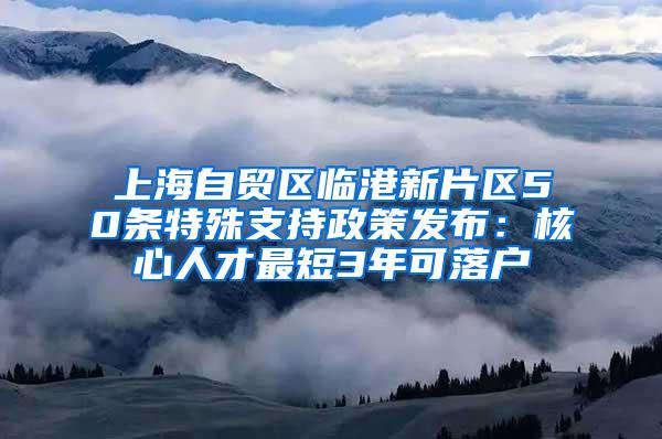 上海自贸区临港新片区50条特殊支持政策发布：核心人才最短3年可落户