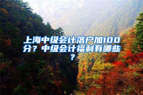 上海中级会计落户加100分？中级会计福利有哪些？
