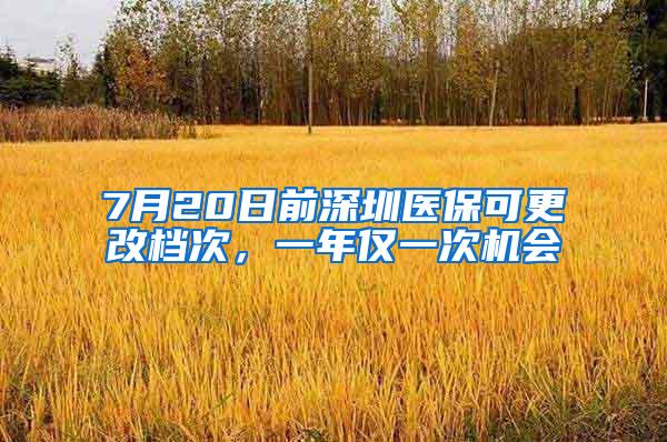 7月20日前深圳医保可更改档次，一年仅一次机会