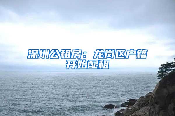 深圳公租房：龙岗区户籍开始配租