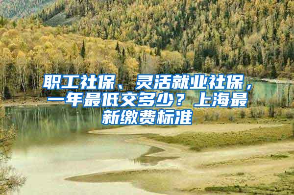 职工社保、灵活就业社保，一年最低交多少？上海最新缴费标准