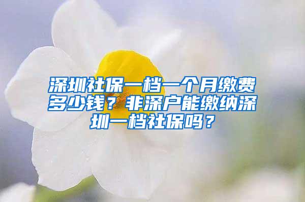 深圳社保一档一个月缴费多少钱？非深户能缴纳深圳一档社保吗？