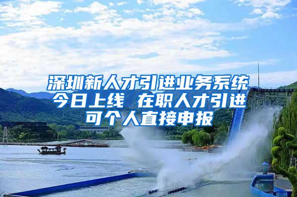 深圳新人才引进业务系统今日上线 在职人才引进可个人直接申报