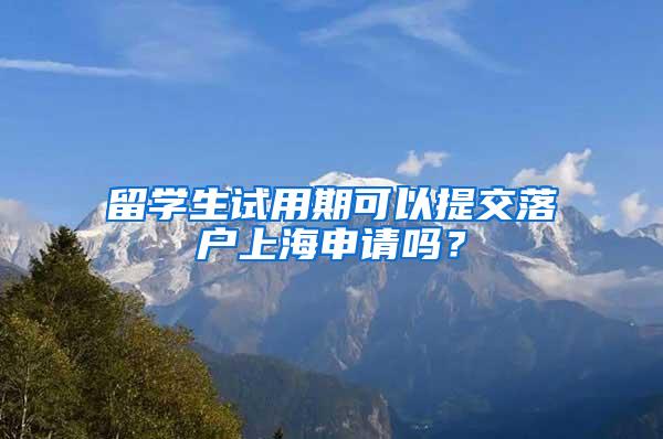 留学生试用期可以提交落户上海申请吗？