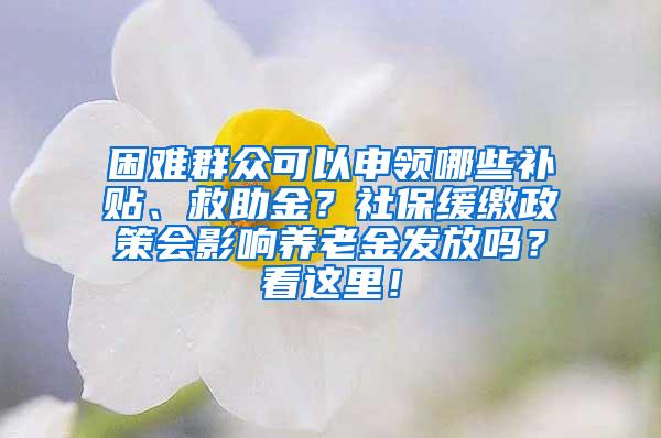 困难群众可以申领哪些补贴、救助金？社保缓缴政策会影响养老金发放吗？看这里！