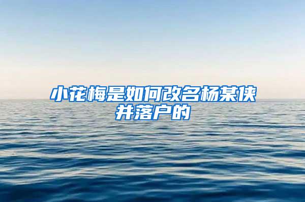 小花梅是如何改名杨某侠并落户的