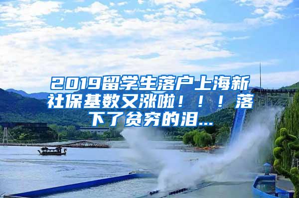 2019留学生落户上海新社保基数又涨啦！！！落下了贫穷的泪...