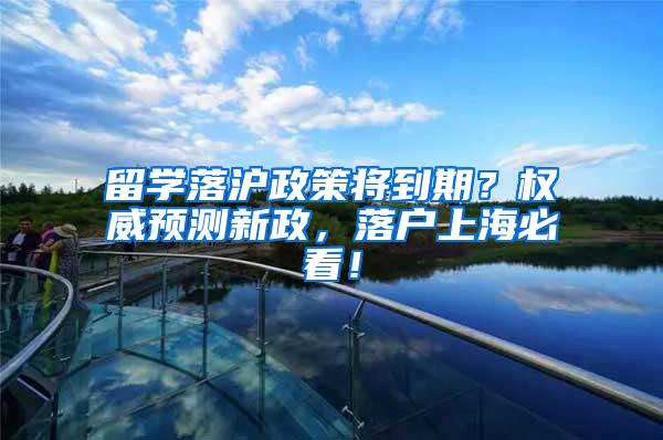留学落沪政策将到期？权威预测新政，落户上海必看！