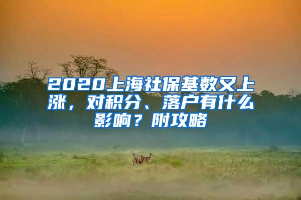 2020上海社保基数又上涨，对积分、落户有什么影响？附攻略