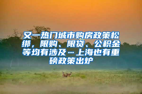 又一热门城市购房政策松绑，限购、限贷、公积金等均有涉及…上海也有重磅政策出炉