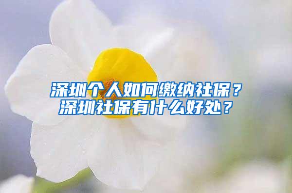 深圳个人如何缴纳社保？深圳社保有什么好处？