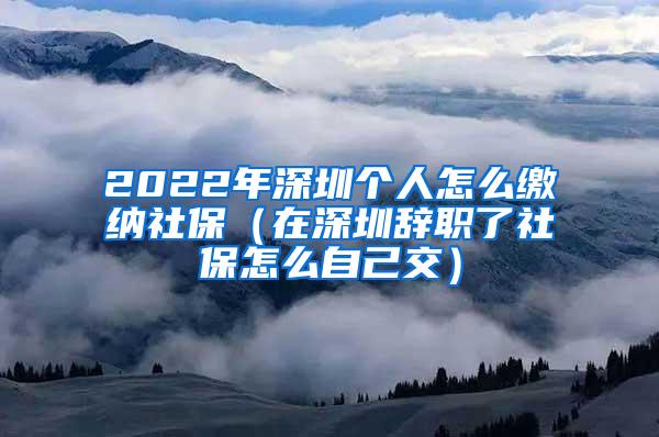 2022年深圳个人怎么缴纳社保（在深圳辞职了社保怎么自己交）