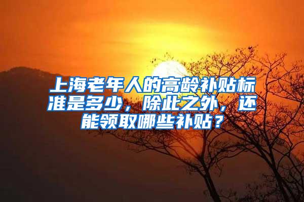 上海老年人的高龄补贴标准是多少，除此之外，还能领取哪些补贴？