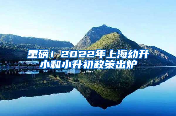 重磅！2022年上海幼升小和小升初政策出炉