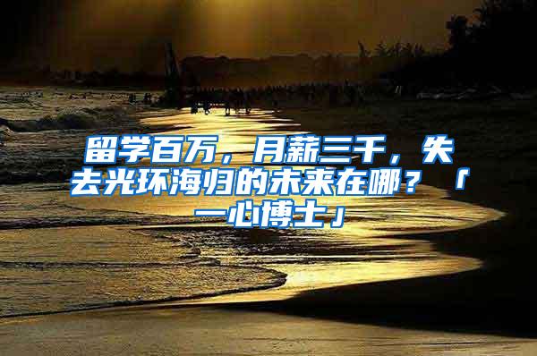 留学百万，月薪三千，失去光环海归的未来在哪？「一心博士」