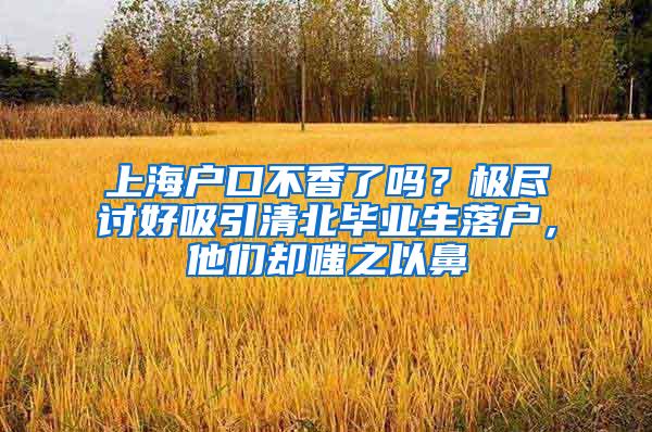 上海户口不香了吗？极尽讨好吸引清北毕业生落户，他们却嗤之以鼻